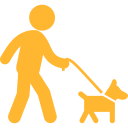 hund zieht an der leine Hund erziehen leine ziehen