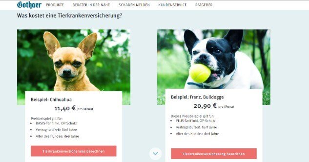 Gothaer Hunde-Krankenversicherung – Infos und Erfahrungen