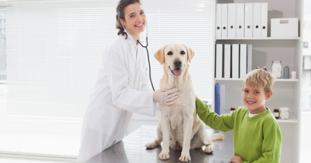 Wieviel kostet eine Hundekrankenversicherung?