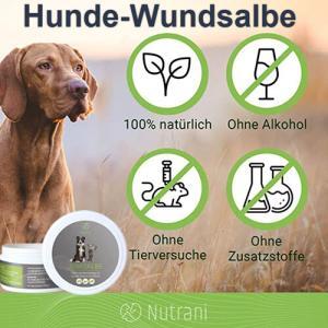 Zink Wund- und Heilsalbe für Hunde