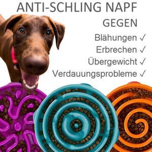 Anti Schling Napf für Hunde