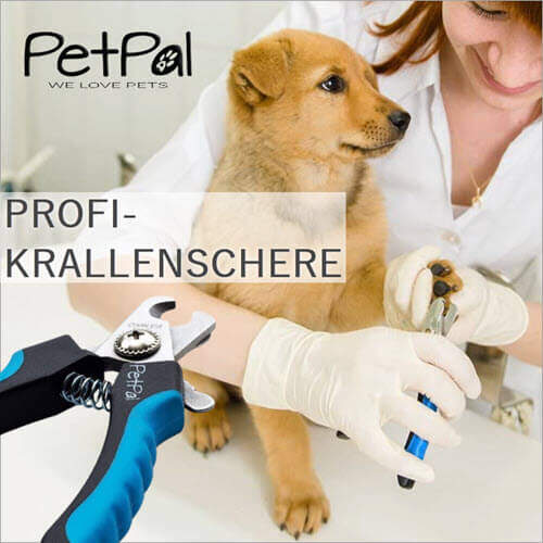 Profi Krallenschere für Hunde von Petpäl